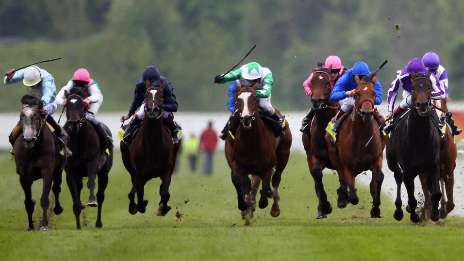 There is racing at Haydock on Saturday evening